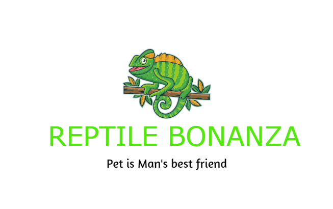 Reptile Bonanza